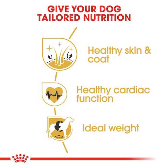 ROYAL CANIN GOLDEN RETRIEVER 12K XIRA TROFI SKuLOu